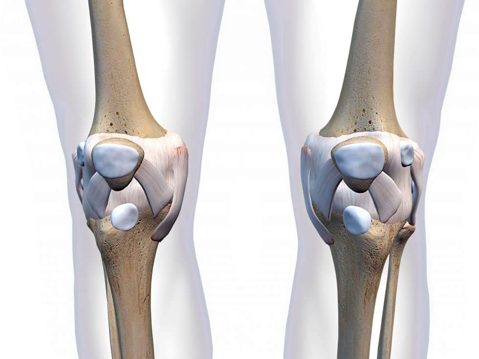Harvard Trained Pain Doctors Where To Find The Best Knee Treatment Near Me In Manhattan Harvard trained pain doctors where to find the best knee treatment near me in manhattan